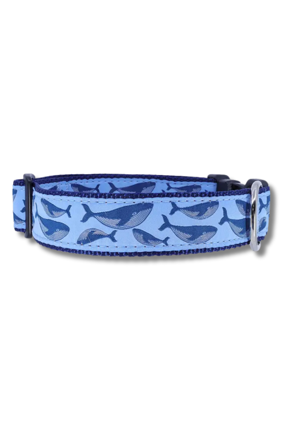 PRESTON Humpback Whale on Blue Dog Collar