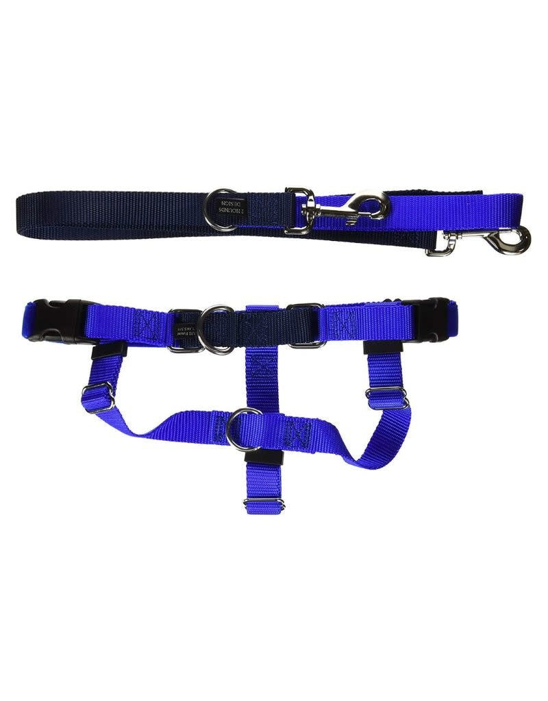 2 HOUNDS DESIGN Freedom No-Pull Harness & Leash 1 inch Royal Blue