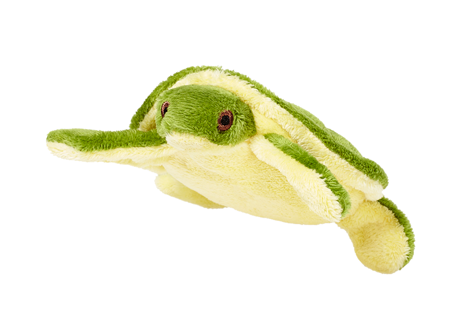 FLUFF & TUFF Shelly Turtle