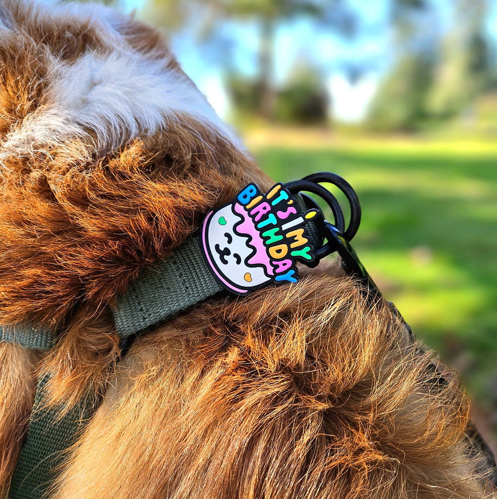 JIBY Birthday Dog Charm