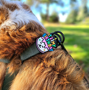 JIBY Birthday Dog Charm