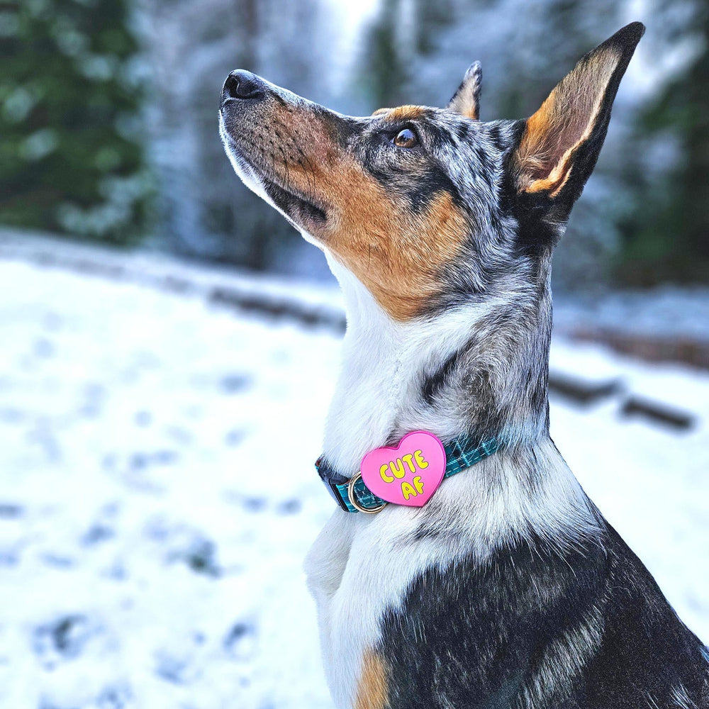 JIBY Pink Cute AF Dog Charm