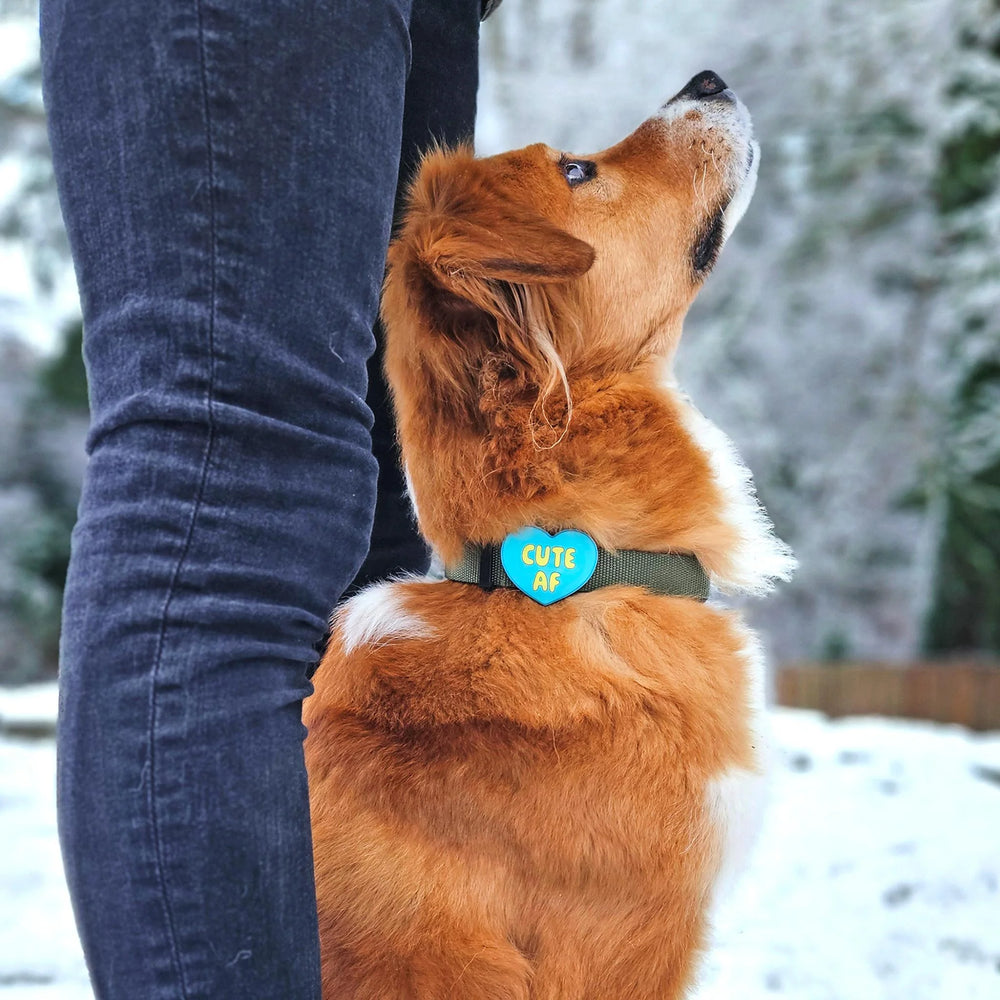 JIBY Blue Cute AF Dog Charm