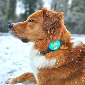 JIBY Blue Cute AF Dog Charm