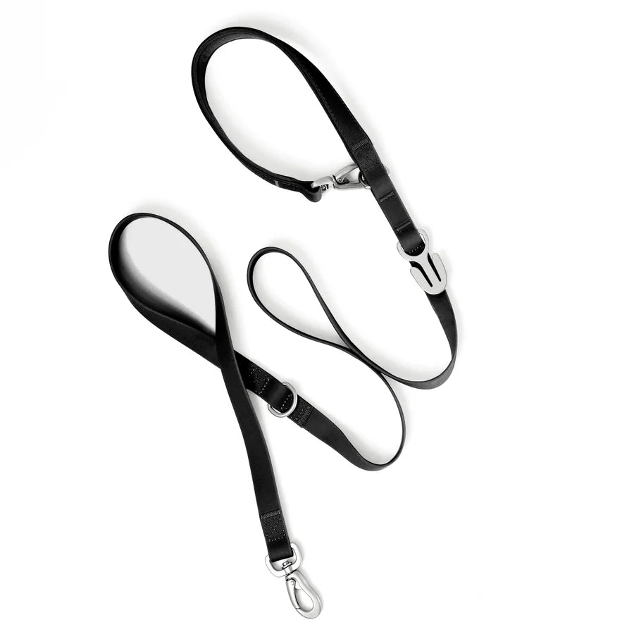 SPRINGLAND Waterproof Dog Leash Black