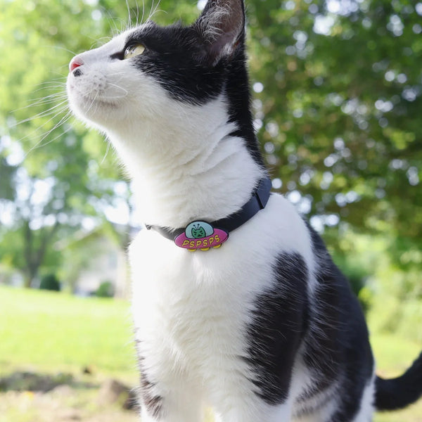 JIBY PSPSPS Control Cat Charm