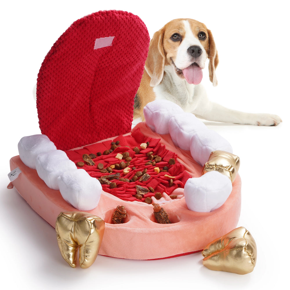 NOCCIOLA Interactive Teeth Dog Toy