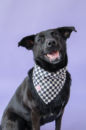 VELVET OUTPAW Checkered Fringe Bandana