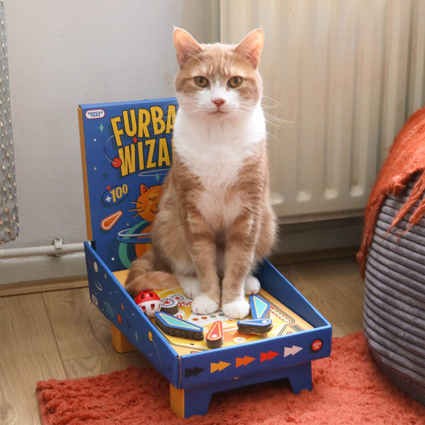 SUCK UK Cat Toy Pinball Machine