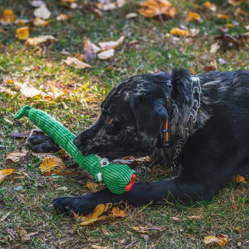 HUGGLEHOUNDS Sir Squeaks-a-Lot Snake Knottie®