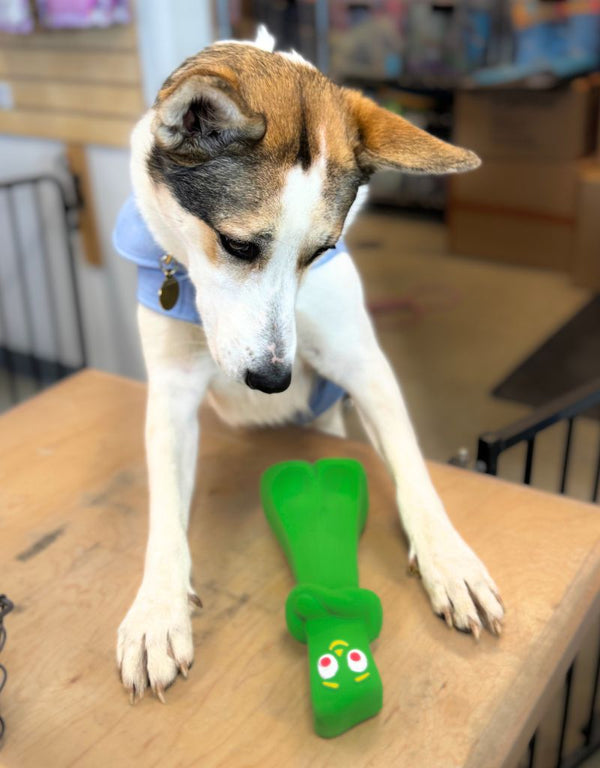 MULTIPET Latex Squeaky Dog Toy Gumby 11 inch