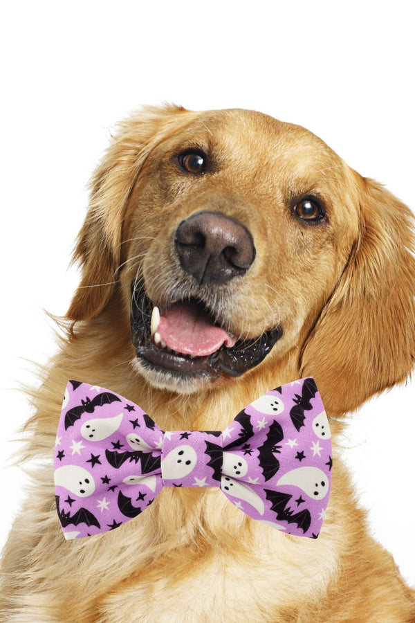 FOGGY DOG Spooky Season Glow-in-the-Dark Dog Bow Tie
