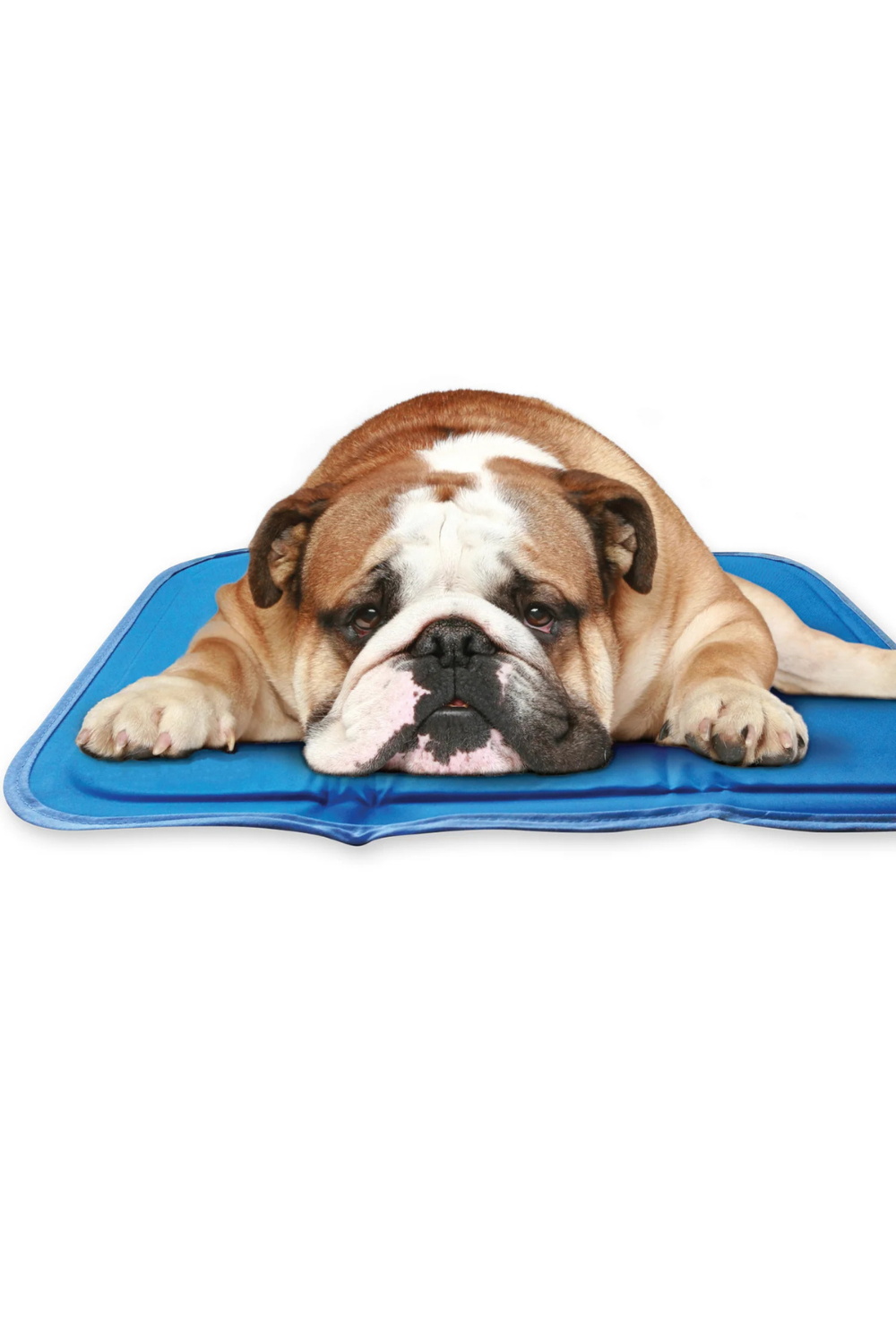 Cool Pet Pad
