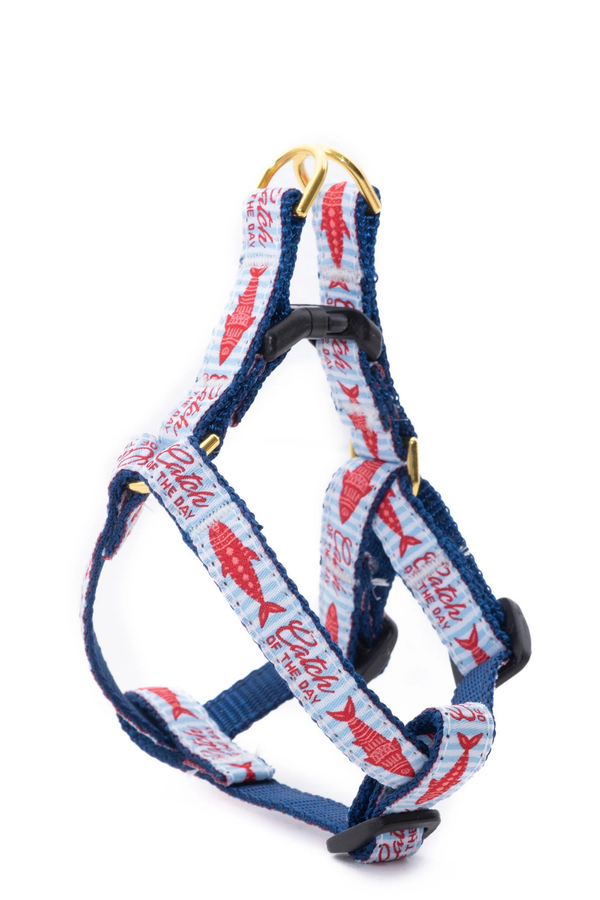 UP COUNTRY Small Breed Harness Catch of the Day