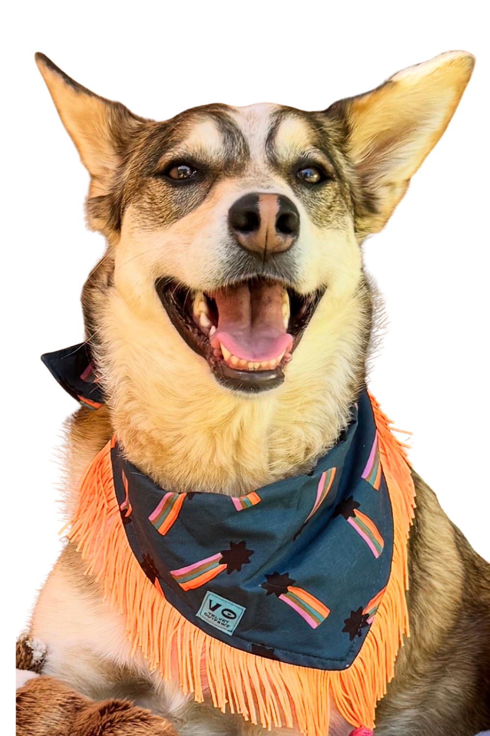 VELVET OUTPAW Major Star Pride Bandana Navy