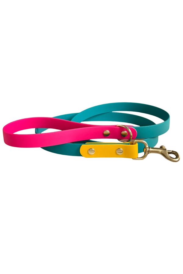 FOXMOTH Waterproof Biothane Dog Leash Modern Retro Design