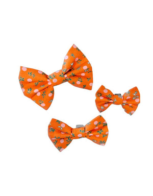 THE FISH & BONE  Bow Tie Oranges