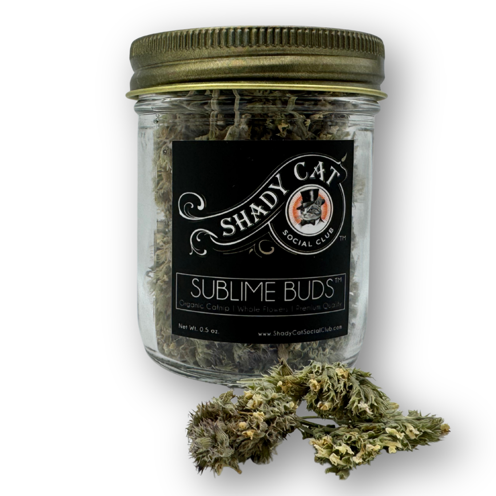 SHADY CAT SOCIAL CLUB Sublime Buds