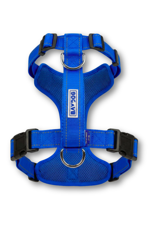 BAYDOG  Chesapeake Harness Blue