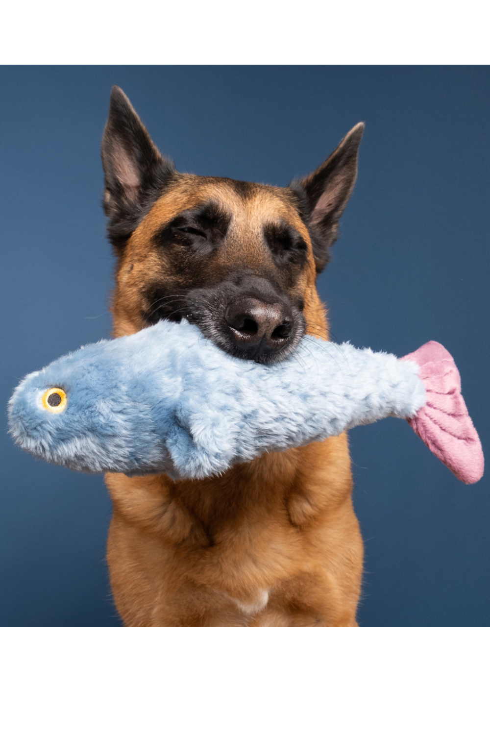 FLUFF & TUFF Fitz the Fish