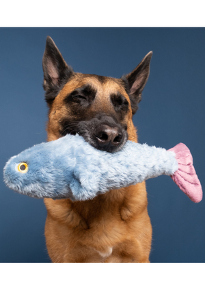 FLUFF & TUFF Fitz the Fish