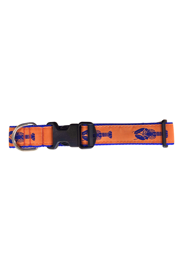 PRESTON Dog Collar Orange Lobster