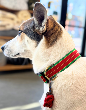 MACKENZIE Red & Green Holiday Clip Collar
