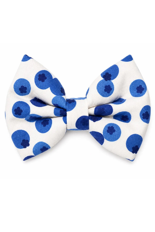 DAPPER DEXTER Bow Tie Blueberry