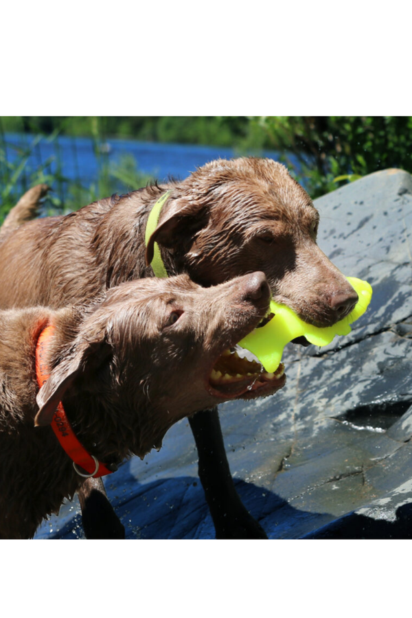 RUFFDAWG Minnow Toy