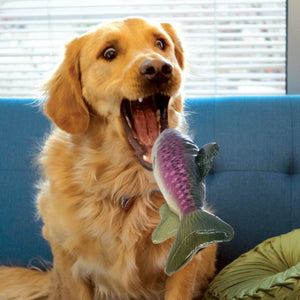 KONG TROUT Dog Toy Medium