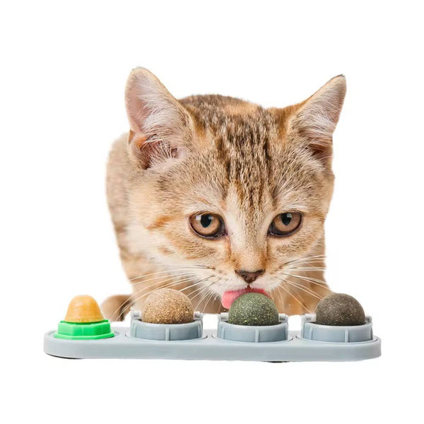 PAWFECT Catnip Roller Ball Toy
