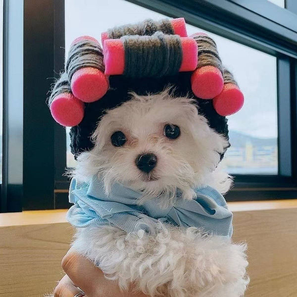 Curlers Cat Hat