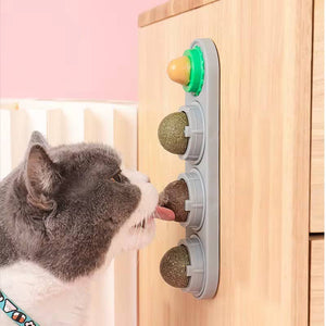 PAWFECT Catnip Roller Ball Toy