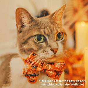 MADE BY CELO Spooky Spiderwebs Bowtie for Cats