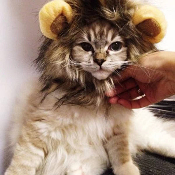 CHEERHUNTING Lion Cat Mane