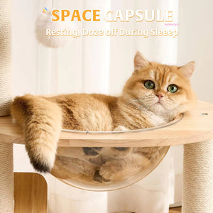 PAWFECT Modern Cat Tree with Woven Basket Bed