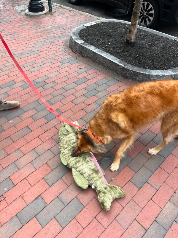 PETLOU Giant Farm Friends Salmon 36"