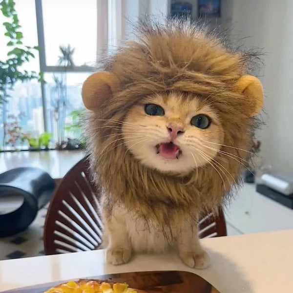 CHEERHUNTING Lion Cat Mane