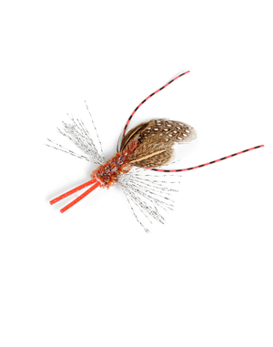 ROMPICATZ CrittrBugz Starter Kit