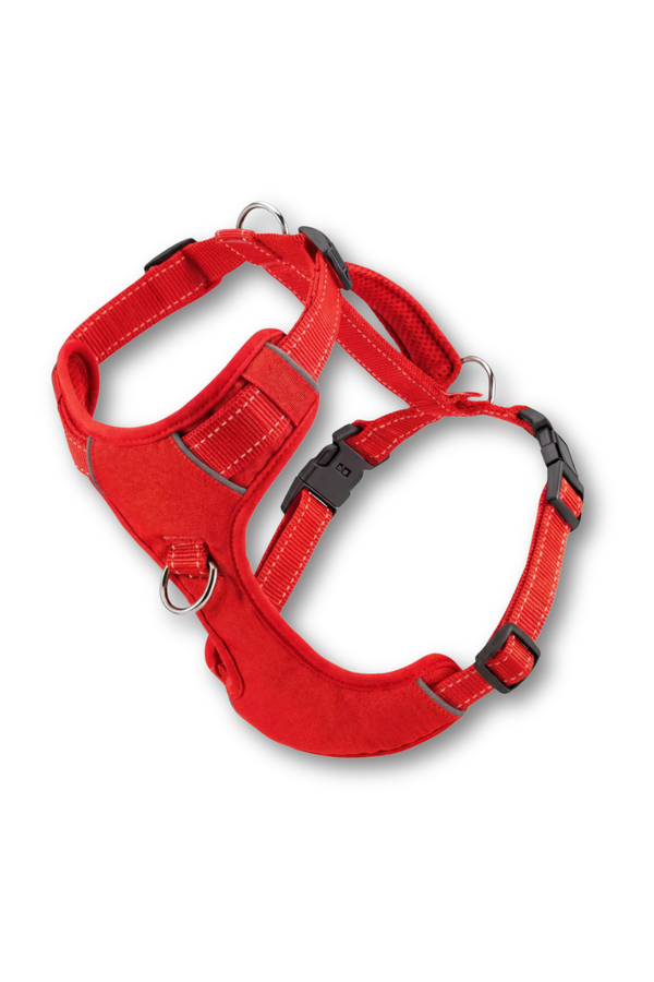BAYDOG  Chesapeake Harness Red