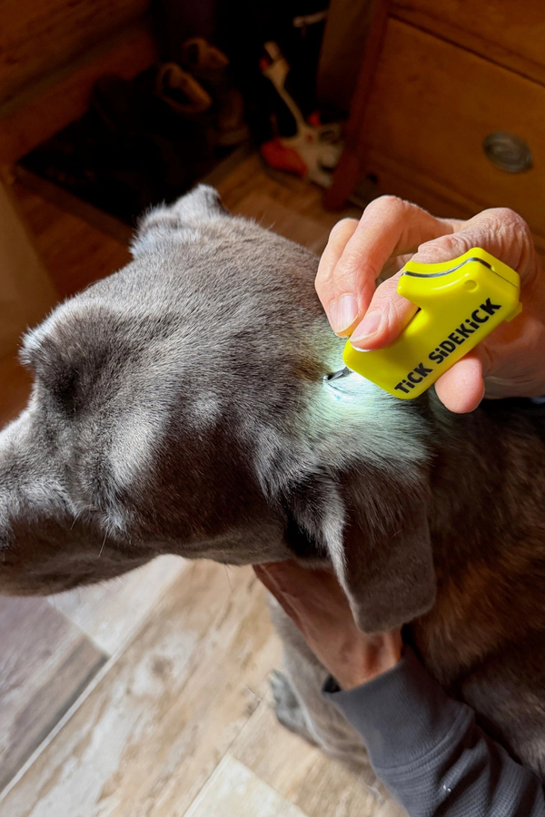 TICK MITT TiCK SiDEKiCK