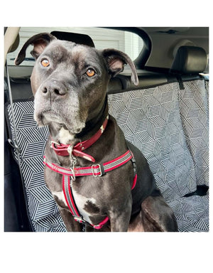 MOLLY MUTT Car Seat Cover Rough Gems