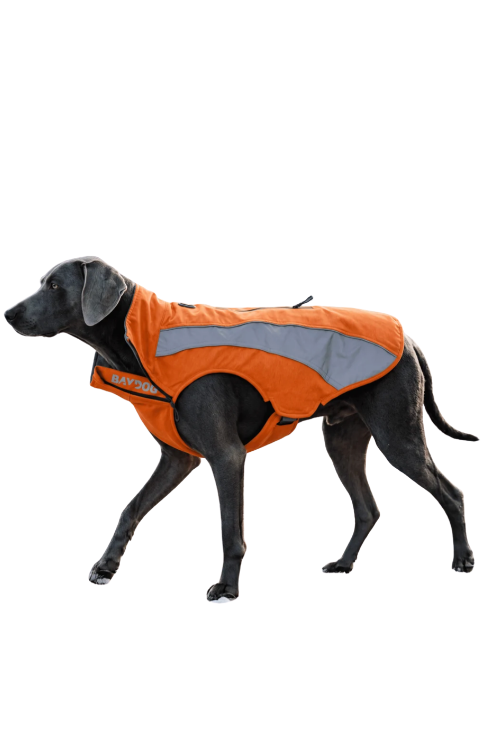 BAYDOG Saginaw Fleece Watrerproof Dog Jacket Orange