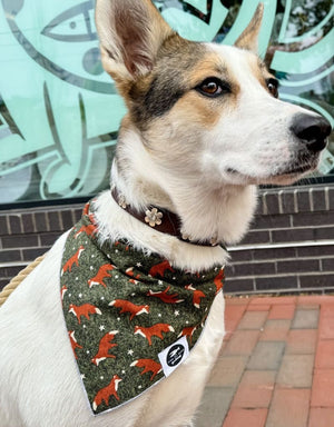 THE FISH & BONE Bandana Foxes