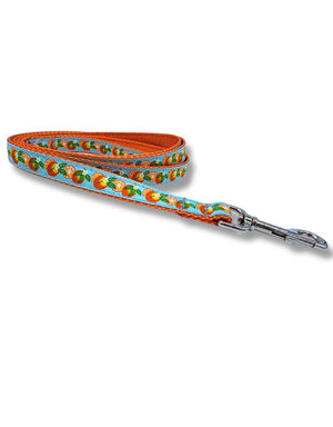 PRESTON Dog Leash Oranges