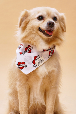 FISH & BONE Bandana I Love Mom