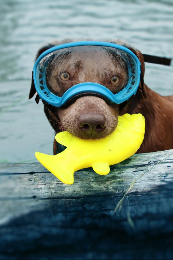 RUFFDAWG Minnow Toy