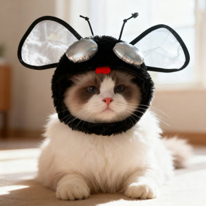 Fly Cat Hat
