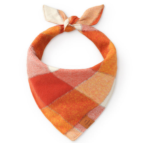FOGGY DOG Pumpkin Spice Dog Bandana