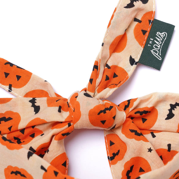 FISH & BONE Pupkin Halloween Dog Bandana